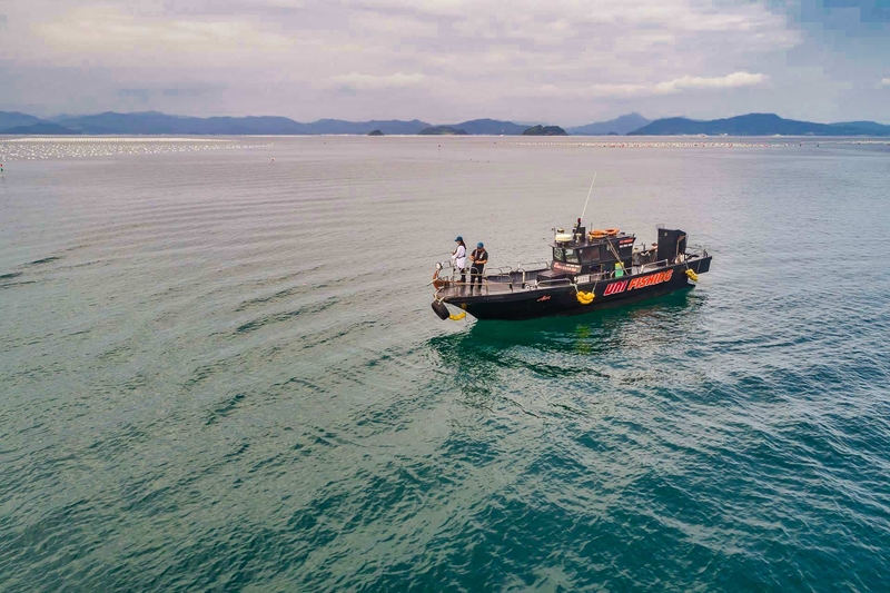 해당 선사를 대표하는 이미지