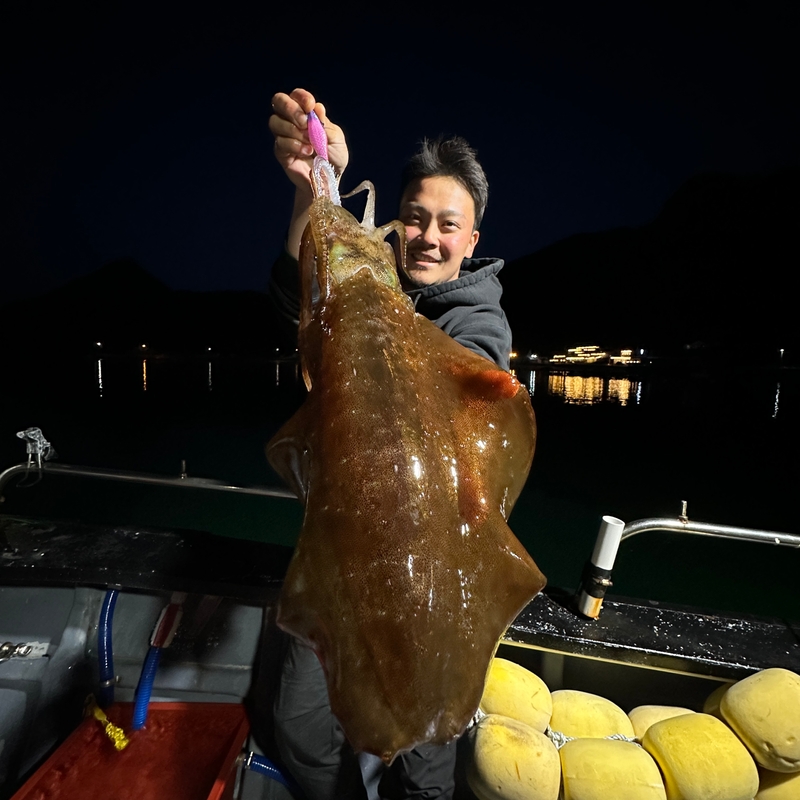 해당 선사를 대표하는 이미지