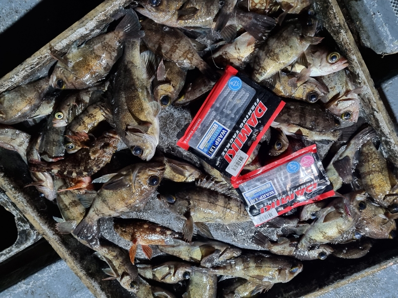 해당 선사를 대표하는 이미지