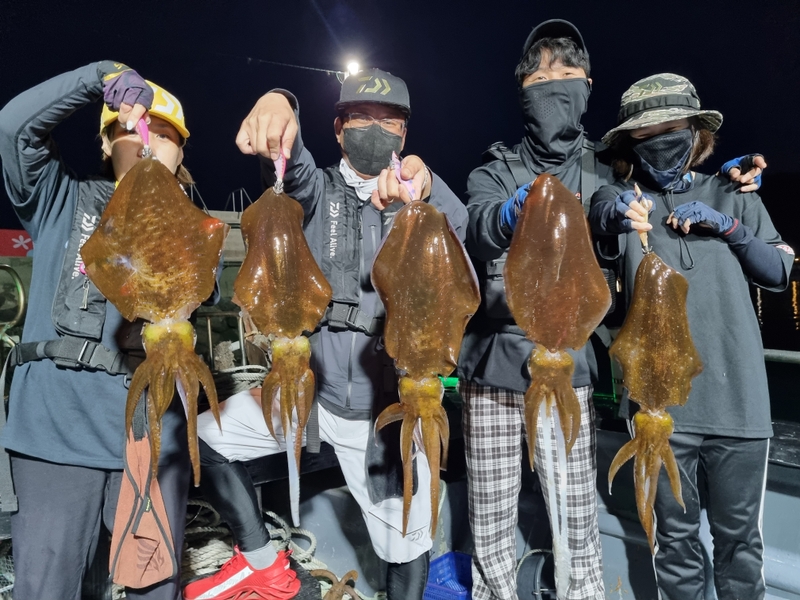 해당 선사를 대표하는 이미지