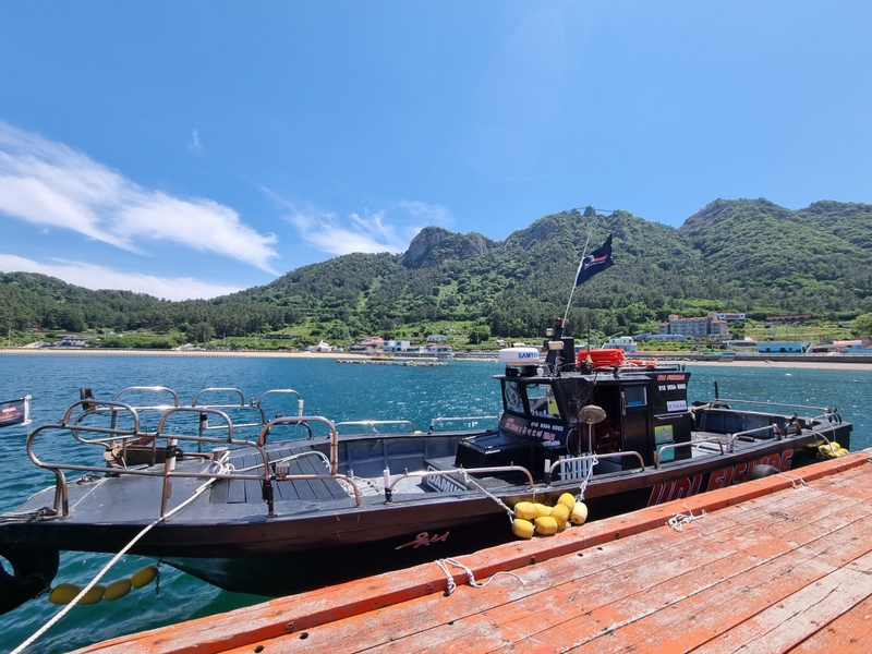 해당 선사를 대표하는 이미지