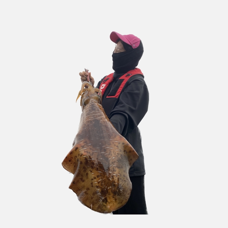 해당 선사를 대표하는 이미지